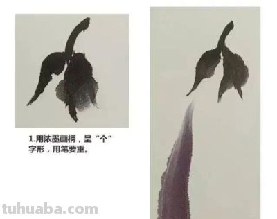 夏天别光吃瓜！跟我学两笔写意蔬果，墨香里自带清凉 - 图画吧TUHUABA