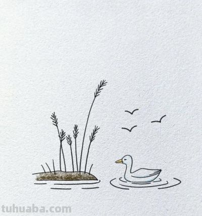简笔画~鸭 - 今日头条