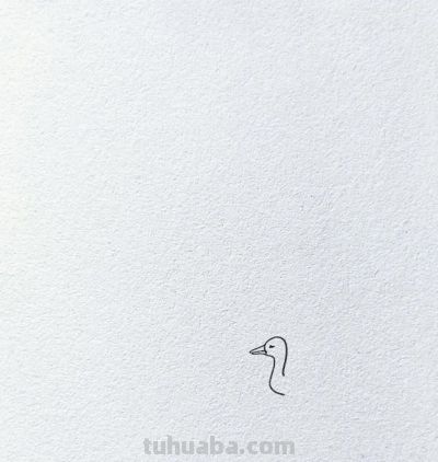 简笔画~鸭 - 图画吧TUHUABA
