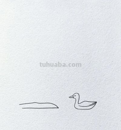 简笔画~鸭 - 图画吧TUHUABA