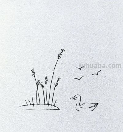 简笔画~鸭 - 图画吧TUHUABA
