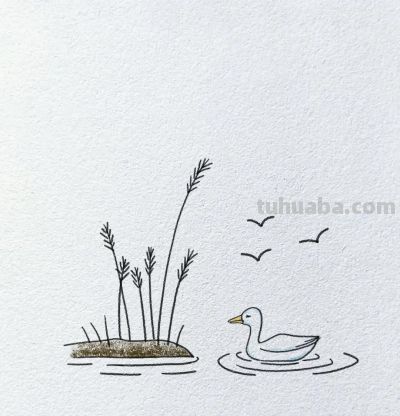 简笔画~鸭 - 图画吧TUHUABA