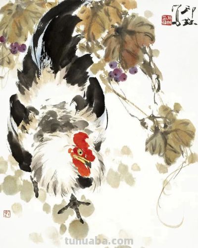 26幅萧朗大鸡图：简笔传神，雅俗共赏！ - 图画吧TUHUABA