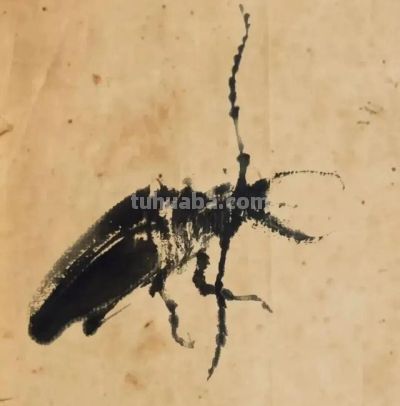 这位80后画家真有点东西,不用一笔彩色,把小虫子给画“活”了 - 今日头条 这位80后画家真有点东西,不用一笔彩色,把小虫子给画“活”了 - 图画吧TUHUABA