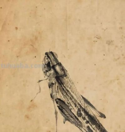 这位80后画家真有点东西,不用一笔彩色,把小虫子给画“活”了 - 今日头条 这位80后画家真有点东西,不用一笔彩色,把小虫子给画“活”了 - 图画吧TUHUABA