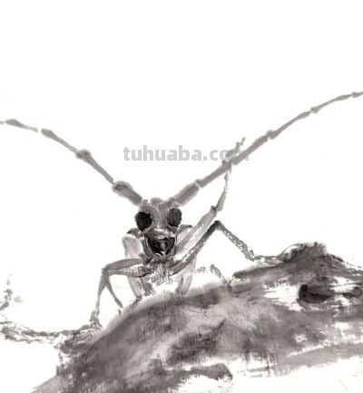 这位80后画家真有点东西,不用一笔彩色,把小虫子给画“活”了 - 今日头条 这位80后画家真有点东西,不用一笔彩色,把小虫子给画“活”了 - 图画吧TUHUABA