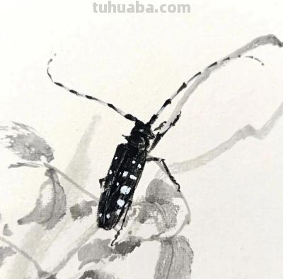 这位80后画家真有点东西,不用一笔彩色,把小虫子给画“活”了 - 今日头条 这位80后画家真有点东西,不用一笔彩色,把小虫子给画“活”了 - 图画吧TUHUABA