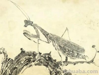 这位80后画家真有点东西,不用一笔彩色,把小虫子给画“活”了 - 今日头条 这位80后画家真有点东西,不用一笔彩色,把小虫子给画“活”了 - 图画吧TUHUABA