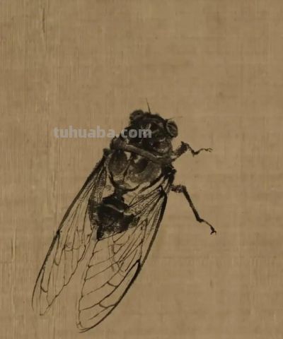 这位80后画家真有点东西,不用一笔彩色,把小虫子给画“活”了 - 今日头条 这位80后画家真有点东西,不用一笔彩色,把小虫子给画“活”了 - 图画吧TUHUABA