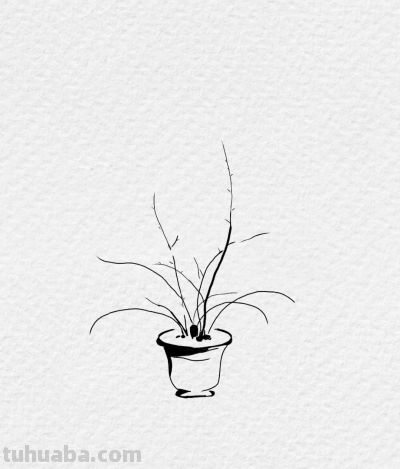 小花一盆 岁月安好丨小艾爱画画简笔画分享 - 今日头条 小花一盆 岁月安好丨小艾爱画画简笔画分享 - 图画吧TUHUABA