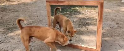 古风渔家生活简笔画，宁静湖畔静享时光。 - 今日头条