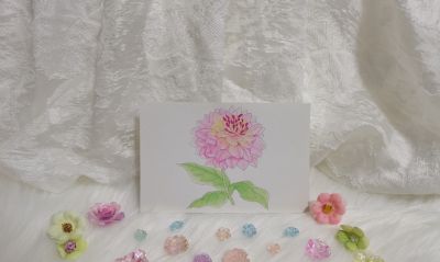 63 大丽花（绘画 水彩 果花甘06） - 图画吧TUHUABA