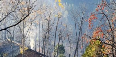 素描冬天 - 今日头条