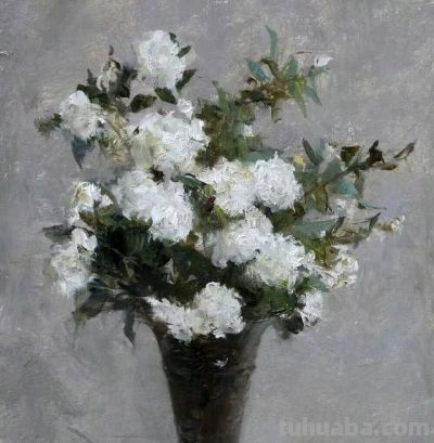 michael klein油画笔下的花 - 图画吧TUHUABA