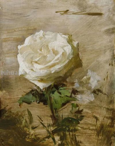michael klein油画笔下的花 - 图画吧TUHUABA