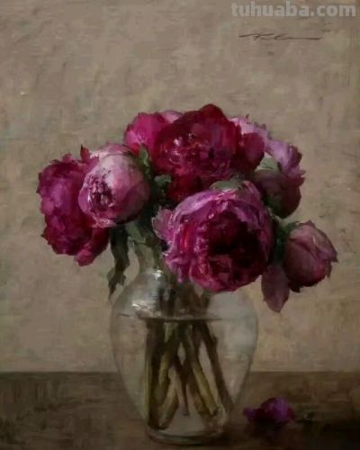 michael klein油画笔下的花 - 图画吧TUHUABA