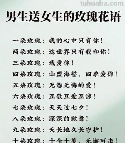 男人给女生的玫瑰花语 - 今日头条