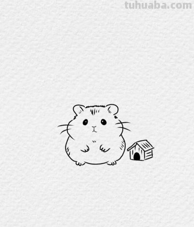 简笔勾勒小仓鼠 呆萌灵动暖人心丨小艾爱画画分享 - 图画吧TUHUABA