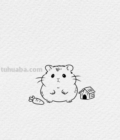 简笔勾勒小仓鼠 呆萌灵动暖人心丨小艾爱画画分享 - 图画吧TUHUABA
