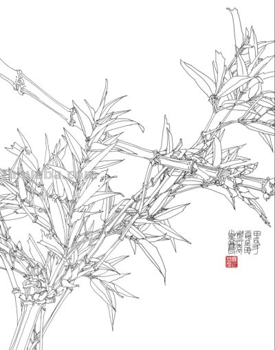 线描植物插画，带你走进自然之美 - 图画吧TUHUABA