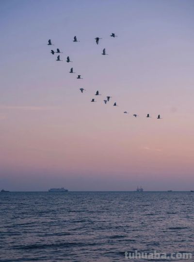 7个手机摄影技巧，把藏在身边的美，挖出来 - 图画吧TUHUABA