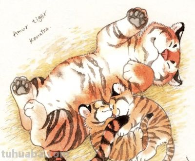 一组软萌治愈、笔触柔和的水彩作品 - 图画吧TUHUABA