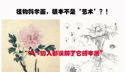 植物科学画，根本不是“艺术”？！ - 今日头条