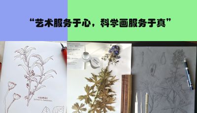 植物科学画，根本不是“艺术”？！ - 图画吧TUHUABA