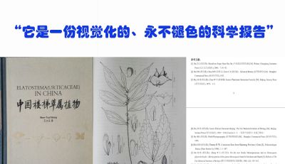 植物科学画，根本不是“艺术”？！ - 图画吧TUHUABA