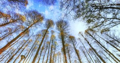 手机摄影成新宠！教爸妈用手机拍出“大片感”的5个技巧 - 图画吧TUHUABA