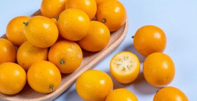 适合家庭庭院盆栽的10种果树，好看好养又结果 - 今日头条