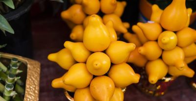 年花花语大公开:这些“好意头”,你知道几个? - 今日头条 年花花语大公开:这些“好意头”,你知道几个? - 图画吧TUHUABA