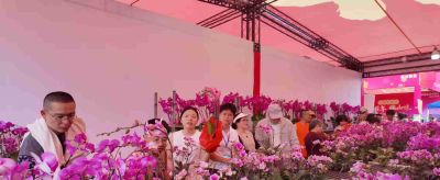 年花花语大公开:这些“好意头”,你知道几个? - 今日头条 年花花语大公开:这些“好意头”,你知道几个? - 图画吧TUHUABA