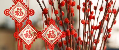 年花花语大公开:这些“好意头”,你知道几个? - 今日头条 年花花语大公开:这些“好意头”,你知道几个? - 图画吧TUHUABA