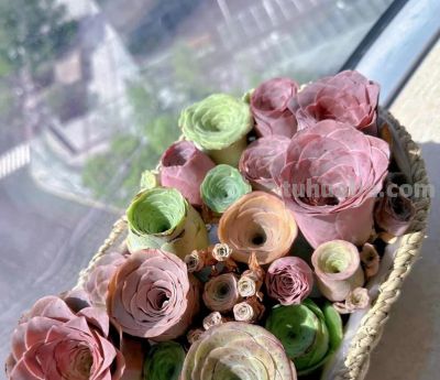 10种“超耐冻”的多肉，露养无压力，出状态绝美 - 图画吧TUHUABA