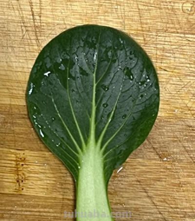 网友分享一片标准的青菜，评论区迅速跟上，太可爱太治愈了！ - 今日头条