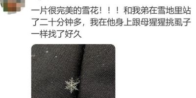 网友分享一片标准的青菜,评论区迅速跟上,太可爱太治愈了! - 今日头条 网友分享一片标准的青菜,评论区迅速跟上,太可爱太治愈了! - 图画吧TUHUABA