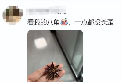 网友分享一片标准的青菜,评论区迅速跟上,太可爱太治愈了! - 今日头条 网友分享一片标准的青菜,评论区迅速跟上,太可爱太治愈了! - 图画吧TUHUABA