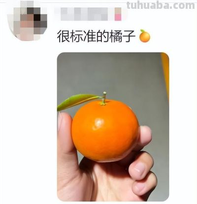 网友分享一片标准的青菜,评论区迅速跟上,太可爱太治愈了! - 今日头条 网友分享一片标准的青菜,评论区迅速跟上,太可爱太治愈了! - 图画吧TUHUABA