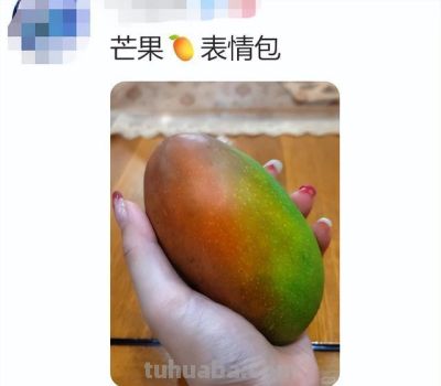 网友分享一片标准的青菜,评论区迅速跟上,太可爱太治愈了! - 今日头条 网友分享一片标准的青菜,评论区迅速跟上,太可爱太治愈了! - 图画吧TUHUABA