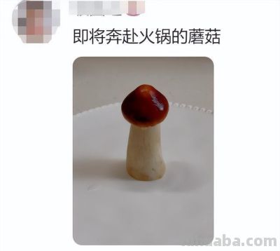 网友分享一片标准的青菜,评论区迅速跟上,太可爱太治愈了! - 今日头条 网友分享一片标准的青菜,评论区迅速跟上,太可爱太治愈了! - 图画吧TUHUABA