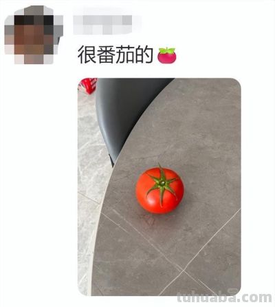 网友分享一片标准的青菜,评论区迅速跟上,太可爱太治愈了! - 今日头条 网友分享一片标准的青菜,评论区迅速跟上,太可爱太治愈了! - 图画吧TUHUABA