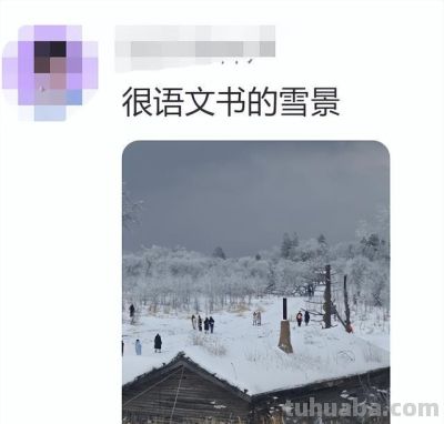 网友分享一片标准的青菜,评论区迅速跟上,太可爱太治愈了! - 今日头条 网友分享一片标准的青菜,评论区迅速跟上,太可爱太治愈了! - 图画吧TUHUABA