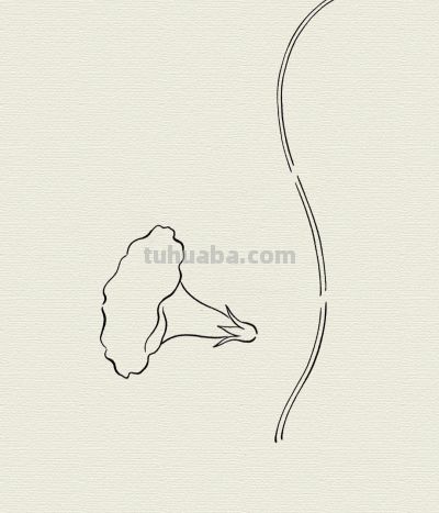 简笔牵牛花 晨露伴清颜丨每天一幅画 - 今日头条 简笔牵牛花 晨露伴清颜丨每天一幅画 - 图画吧TUHUABA