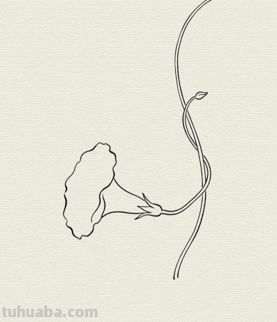 简笔牵牛花 晨露伴清颜丨每天一幅画 - 今日头条 简笔牵牛花 晨露伴清颜丨每天一幅画 - 图画吧TUHUABA