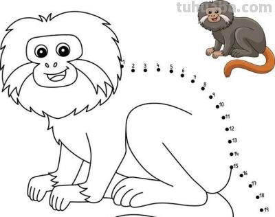 既能记数儿，又能画着玩儿！动物简笔画点连点线稿 - 图画吧TUHUABA