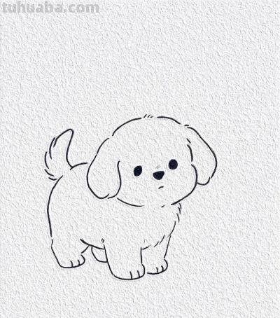 可爱小狗简笔画，让小狗治愈你 - 今日头条