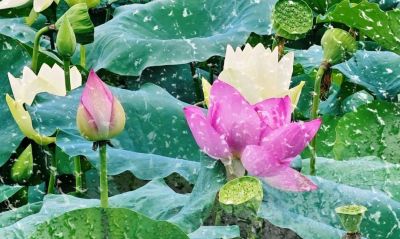 大武汉一日 | 在这堂课上,我“变身”了 - 今日头条 大武汉一日 | 在这堂课上,我“变身”了 - 图画吧TUHUABA