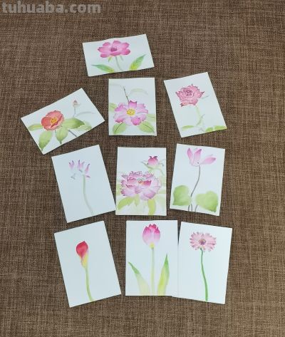 绘画 | 水彩 | 果花甘06 - 今日头条 绘画 | 水彩 | 果花甘06 - 图画吧TUHUABA