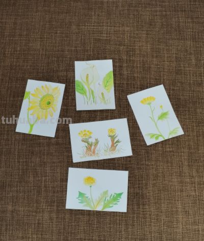 绘画 | 水彩 | 果花甘06 - 今日头条 绘画 | 水彩 | 果花甘06 - 图画吧TUHUABA